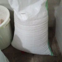 قلوه برنج هاشمی  محصول امسال