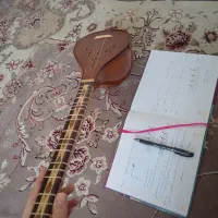 درخواست مربی حرفه ای سه تار (خانوم)