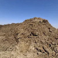 کود دامی پوسیده