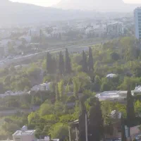 مشارکت-شهدای-چوگیا