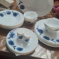 ارکوپال در حد با کارتن