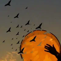 آموزش موسیقی دف تنبک هنگدرام
