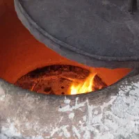 شاطر کبابی هستم