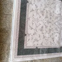 قالیشویی همشهری