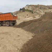 ک و د|خدمات باغبانی و درختکاری|دوگنبدان, |دیوار