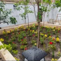 هرسکاری کود دهی سمپاشی باغبانی اره کردن وچمن کاری