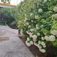 زمین-مسکونی