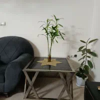 میز جلوی مبل و2تا عسلی