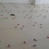 کاشی سرامیک سنگ کاری در خدمتم