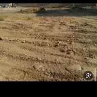 زمین شهرک گلها