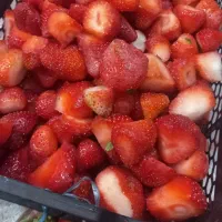 توت فرنگی درجه۲