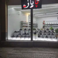 گالری کفش پاناز