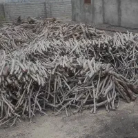 خرید چوب پسته
