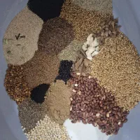 قوتو کرمانی قاووت خانگی قاووت انرژی زا گیاهی سنتی
