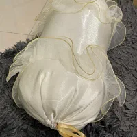 دو عدد بالشت کوچک لوله ای