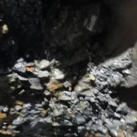 مقنی فقط جاه اب