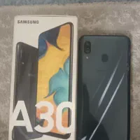 a30