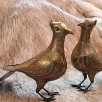 کبوتر نقره کوب کاردست علامت