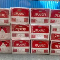 پکیج دیواری ایران رادیاتور L36