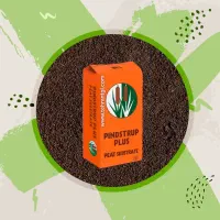 پیت ماس پینداستراپ