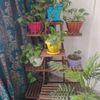 استند گل چوبی