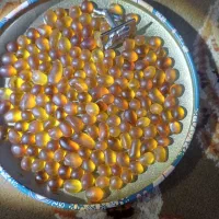سنگ تسبیح