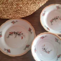 سرویس گل کاجی نو