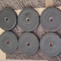 وزنه هالتر