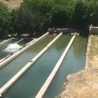 فروش-شیلات