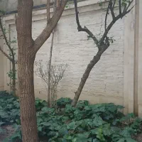 ۵۰۰متر قیطریه جنوبی دوکله