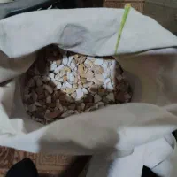 آکواریوم بالوازم
