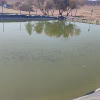 فروش آب قنات