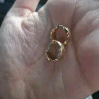 طلا نونو به قیمت تابلو