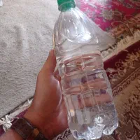 گلاب تاریخ گذشته