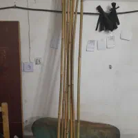نی بامبو مناسب تزئینات و گلدان ، چوب پرچم