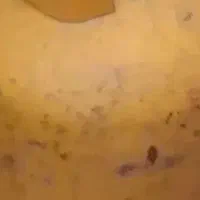 (کپسول ایران گاز پر با ریگلاتور)