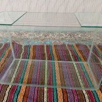 آکواریوم با ماهی
