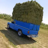 یونجه درجه 1