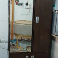 جاکفشی