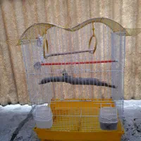 قفس پرنده