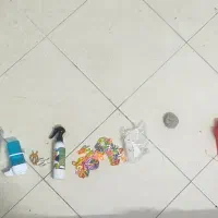 وسایل پرندگان نو