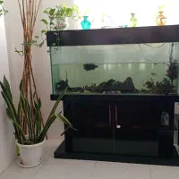 آکواریوم
