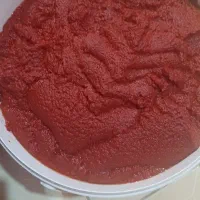 رب خانگی