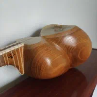 تار حرفه‌ای