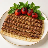 نیروی ساده کبابی