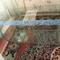 یک عدد آکواریوم قوص دارم وسه عدد ساده