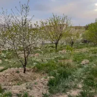 باغ وزمین ویلایی