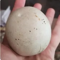 سنگ الماس آسیاب