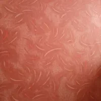 چند عدد موکت سالم