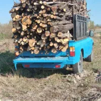 خریدار چوب و درخت باغی